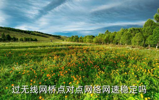 點對點網(wǎng)絡(luò)，什么是點對點互通