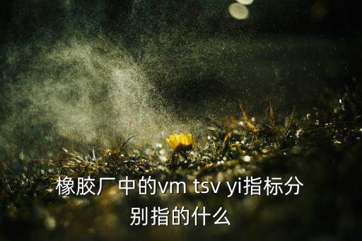 橡膠廠中的vm tsv yi指標分別指的什么