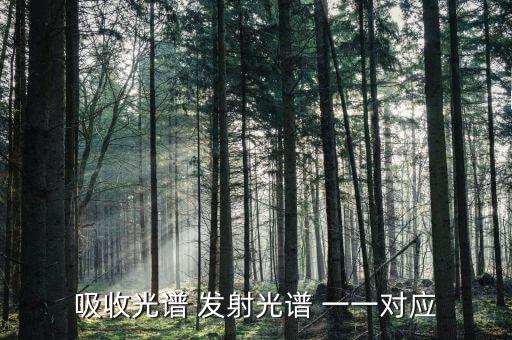 吸收光譜 發(fā)射光譜 一一對(duì)應(yīng)