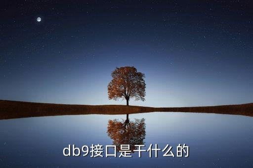 db9接口定義，db9接口是干什么的