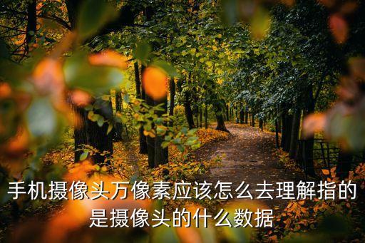 手機(jī)攝像頭萬(wàn)像素應(yīng)該怎么去理解指的是攝像頭的什么數(shù)據(jù)