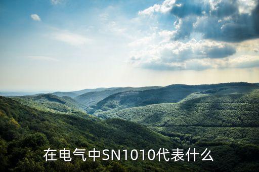 sn10，在電氣中SN1010代表什么