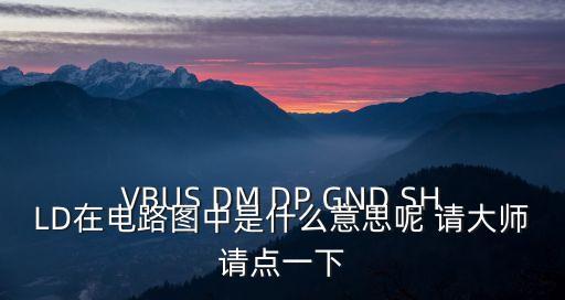 VBUS DM DP GND SHLD在電路圖中是什么意思呢 請大師請點一下