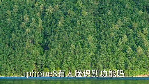 iphone8有人臉識別功能嗎