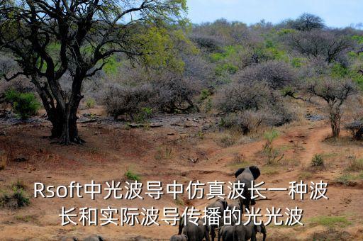 Rsoft中光波導(dǎo)中仿真波長一種波長和實際波導(dǎo)傳播的光光波