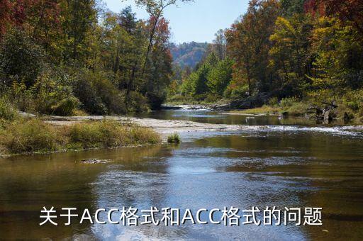 acc格式，ACC是什么啊