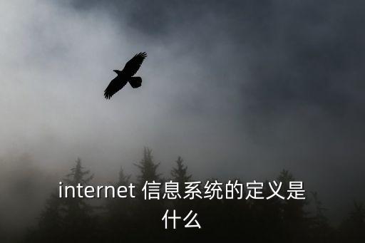 internet 信息系統(tǒng)的定義是什么