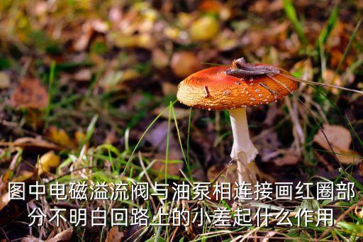 溢流閥圖片，平衡閥和溢流閥有什么區(qū)別