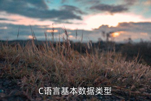 C語言基本數(shù)據(jù)類型