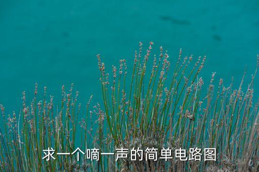 求一個(gè)嘀一聲的簡(jiǎn)單電路圖