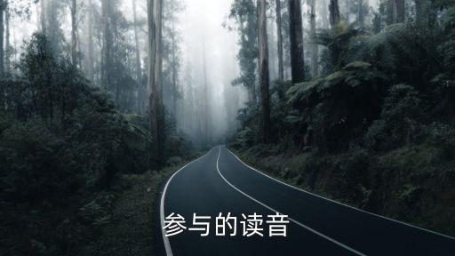 參與的讀音