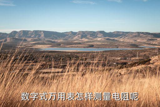 數(shù)字萬用表測電阻，怎么用數(shù)字萬能表量電阻