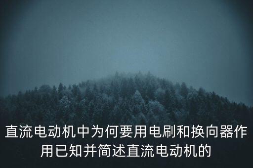 直流電動機中為何要用電刷和換向器作用已知并簡述直流電動機的