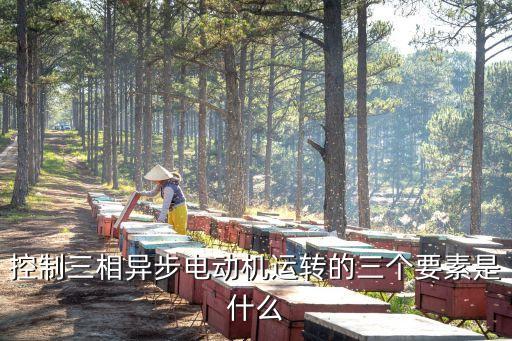 控制三相異步電動(dòng)機(jī)運(yùn)轉(zhuǎn)的三個(gè)要素是什么