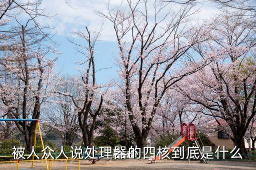 被人眾人說處理器的四核到底是什么