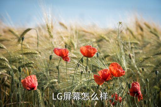 LG屏幕怎么樣
