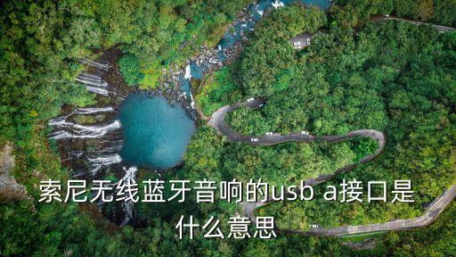 索尼無線藍牙音響的usb a接口是什么意思