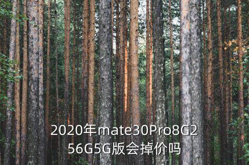 華為mate30pro5g價(jià)格，mate30pro5G版價(jià)格是多少錢