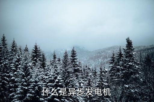 什么是異步發(fā)電機(jī)