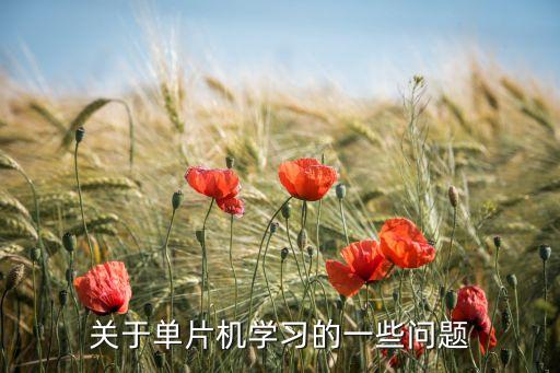 關(guān)于單片機學(xué)習(xí)的一些問題
