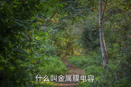 什么叫金屬膜電容