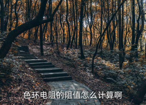 色環(huán)電阻的阻值怎么計(jì)算啊