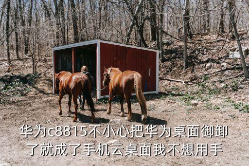 華為云桌面，華為c8815不小心把華為桌面御卸了就成了手機云桌面我不想用手