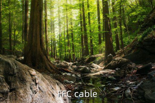 FFC cable