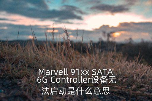91xx，Marvell 91xx SATA 6G Controller設(shè)備無(wú)法啟動(dòng)是什么意思