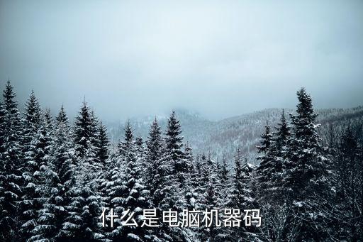 什么是電腦機器碼