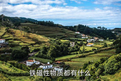 鐵磁性物質(zhì)都有什么