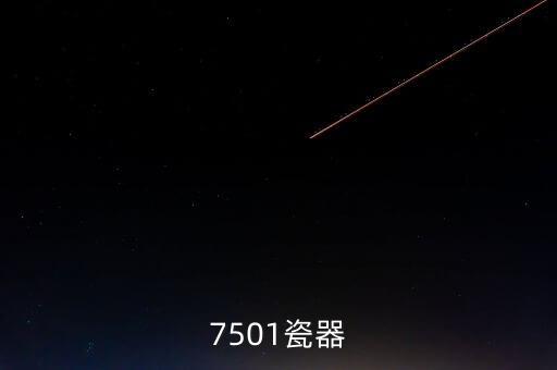 7501瓷器