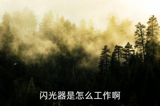 閃光器是怎么工作啊