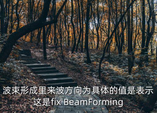 波束形成里來波方向為具體的值是表示這是fix BeamForming