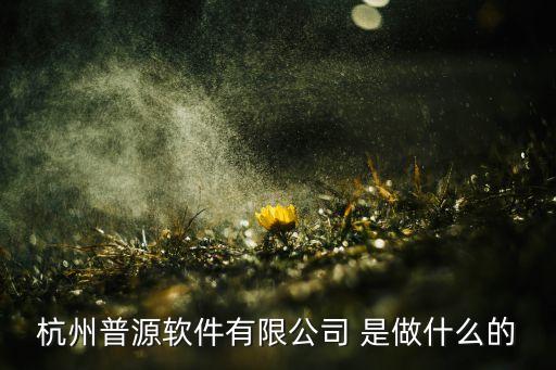 杭州普源軟件有限公司 是做什么的