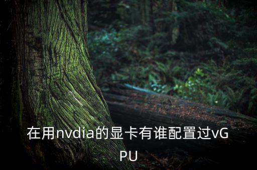 在用nvdia的顯卡有誰配置過vGPU
