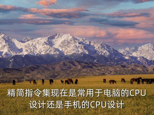 精簡(jiǎn)指令集現(xiàn)在是常用于電腦的CPU設(shè)計(jì)還是手機(jī)的CPU設(shè)計(jì)