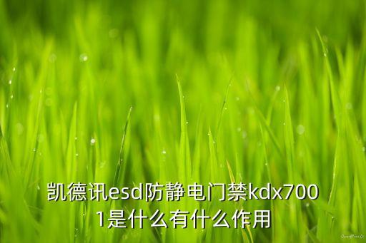 凱德訊esd防靜電門禁kdx7001是什么有什么作用