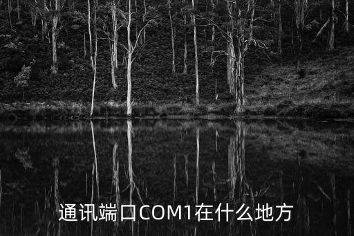 通訊端口COM1在什么地方