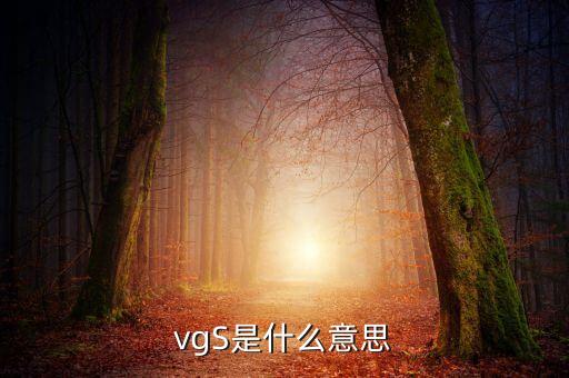vgS是什么意思