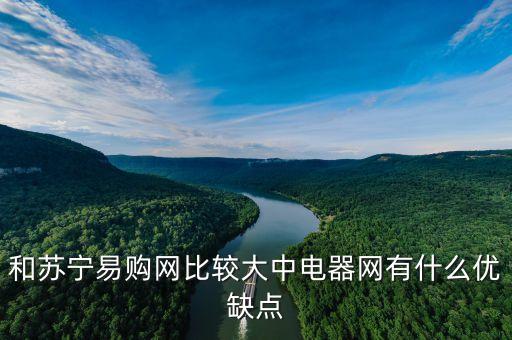 和蘇寧易購網(wǎng)比較大中電器網(wǎng)有什么優(yōu)缺點