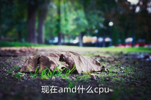 現在amd什么cpu