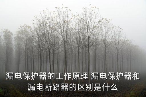 漏電保護(hù)器圖片，漏電保護(hù)器的工作原理 漏電保護(hù)器和漏電斷路器的區(qū)別是什么
