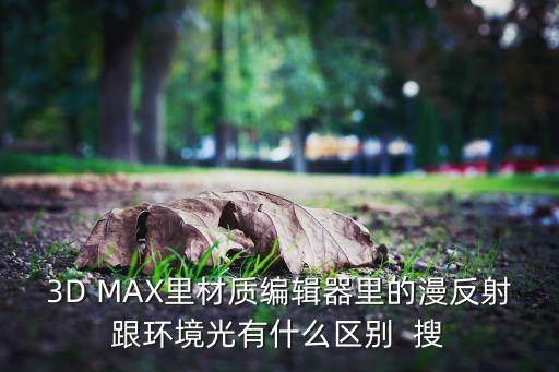 3D MAX里材質(zhì)編輯器里的漫反射跟環(huán)境光有什么區(qū)別  搜