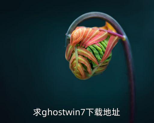 求ghostwin7下載地址
