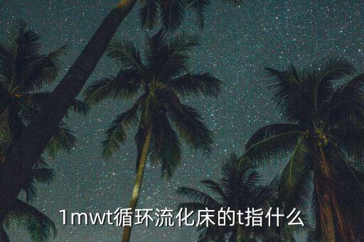 mwt，含有mwt的英文單詞