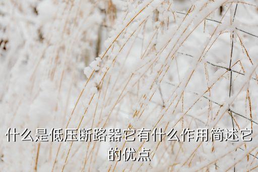 什么是低壓斷路器它有什么作用簡(jiǎn)述它的優(yōu)點(diǎn)