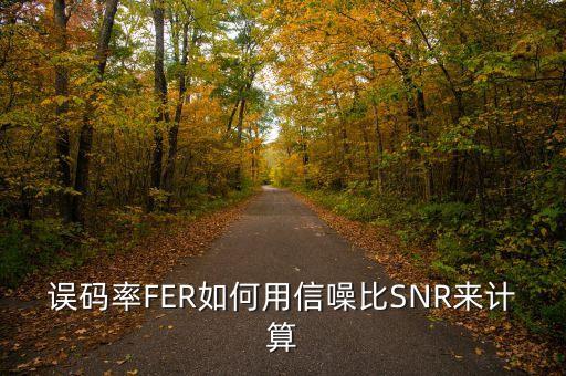 誤碼率計(jì)算公式，誤碼率FER如何用信噪比SNR來(lái)計(jì)算