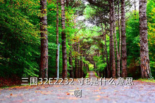 三圍32E2232 寸E是什么意思啊