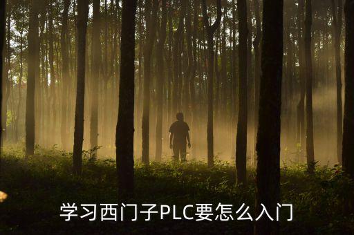 學(xué)習(xí)西門子PLC要怎么入門